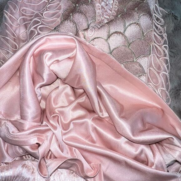 Gorgeous Sue Wong Nocturne Size 2 Pink Dress - Picture 15 of 16